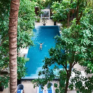 Blue Lime 3*